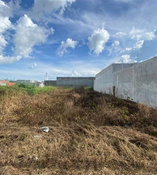 WhatsApp Image 2026-03-24 at 18.00.06.jpeg